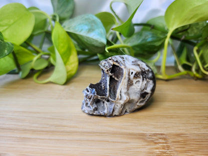 SPHALERITE SKULL
