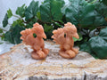 PEACH AVENTURINE MOLTRES
