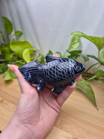 SODALITE FISH