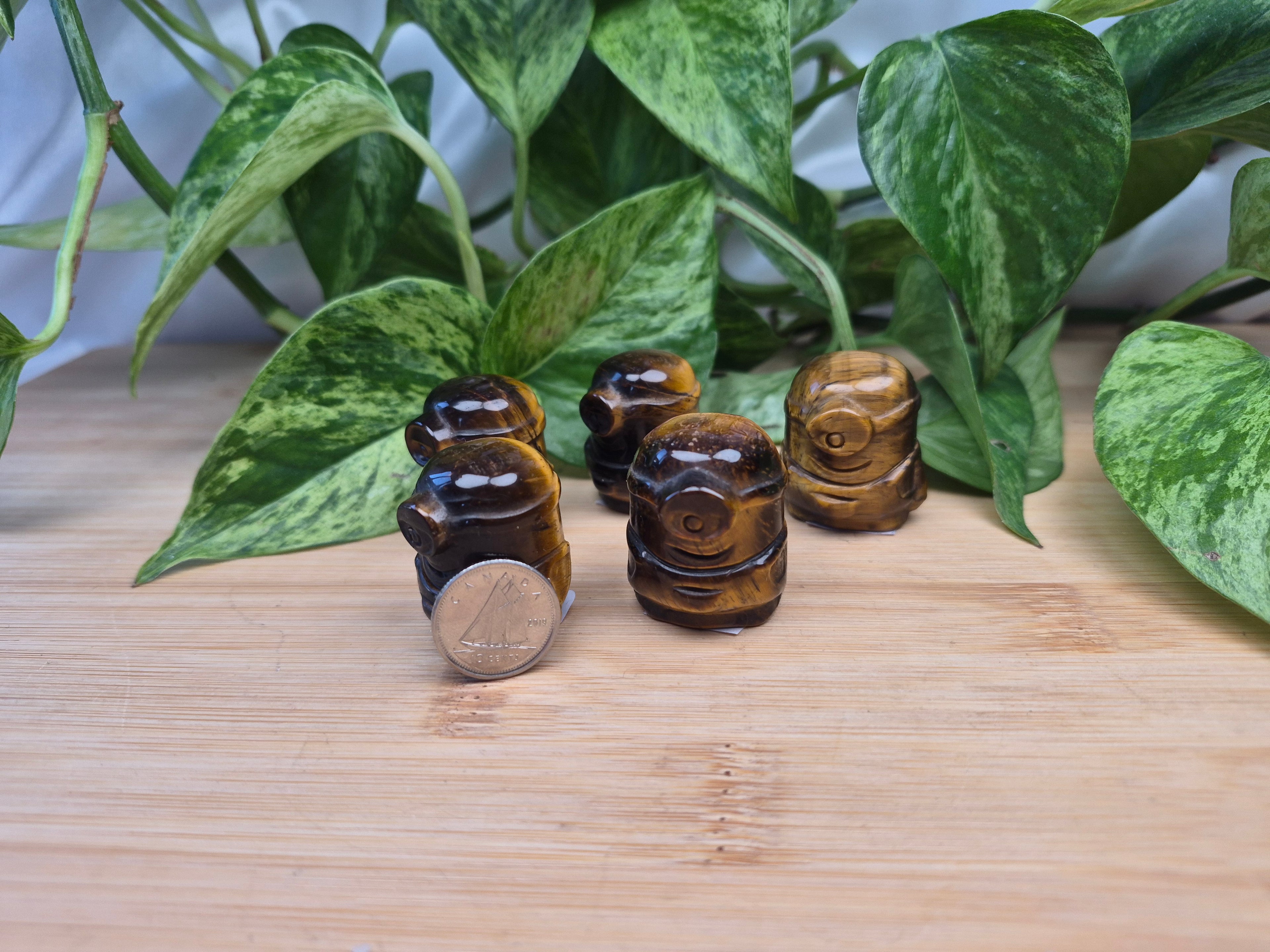 TIGERS EYE MINION