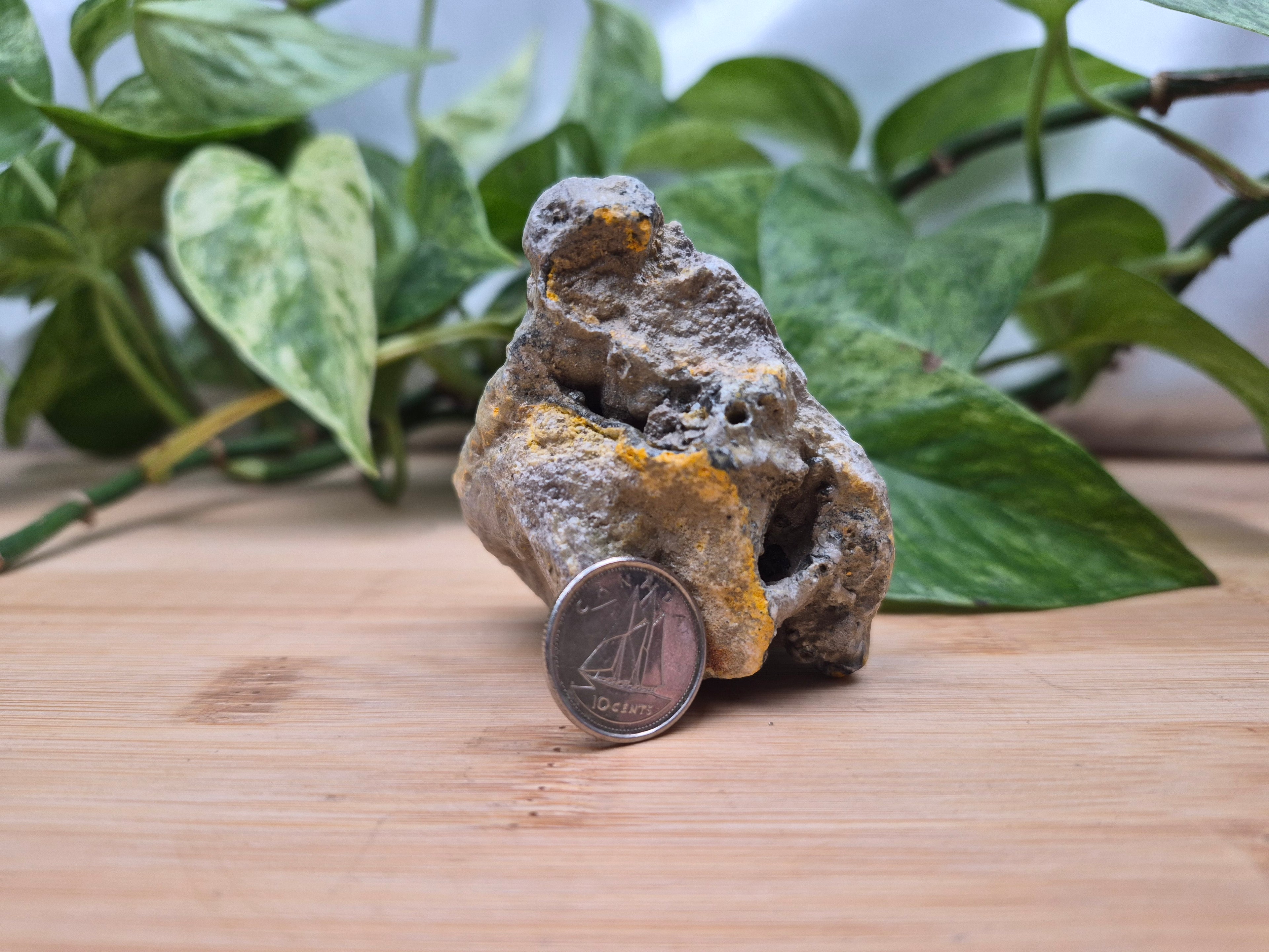 BUMBLEBEE JASPER ROUGH CHUNK