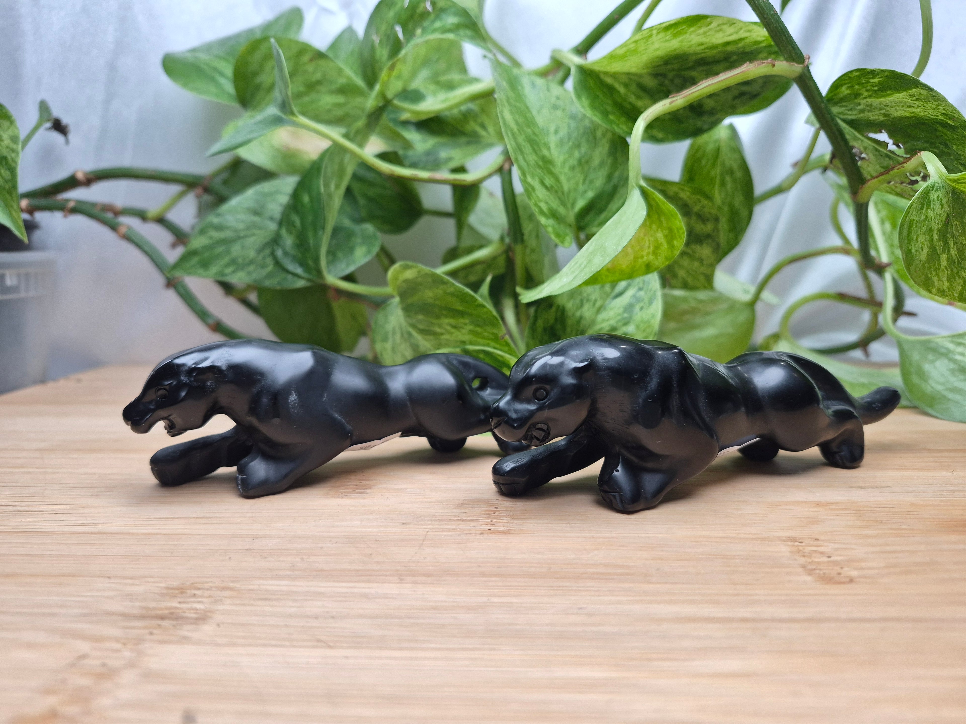 OBSIDIAN BLACK PANTHER