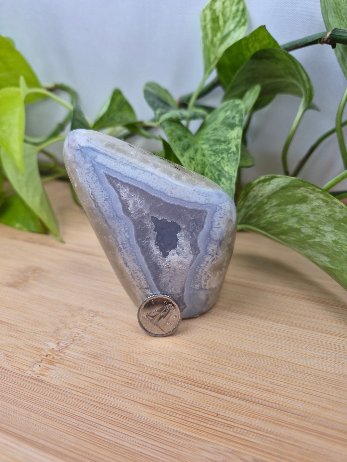 BLUE LACE AGATE FREEFORM