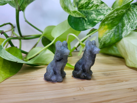LABRADORITE SITTING SHEPHERD DOG