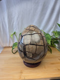 SEPTARIAN DRAGON EGG