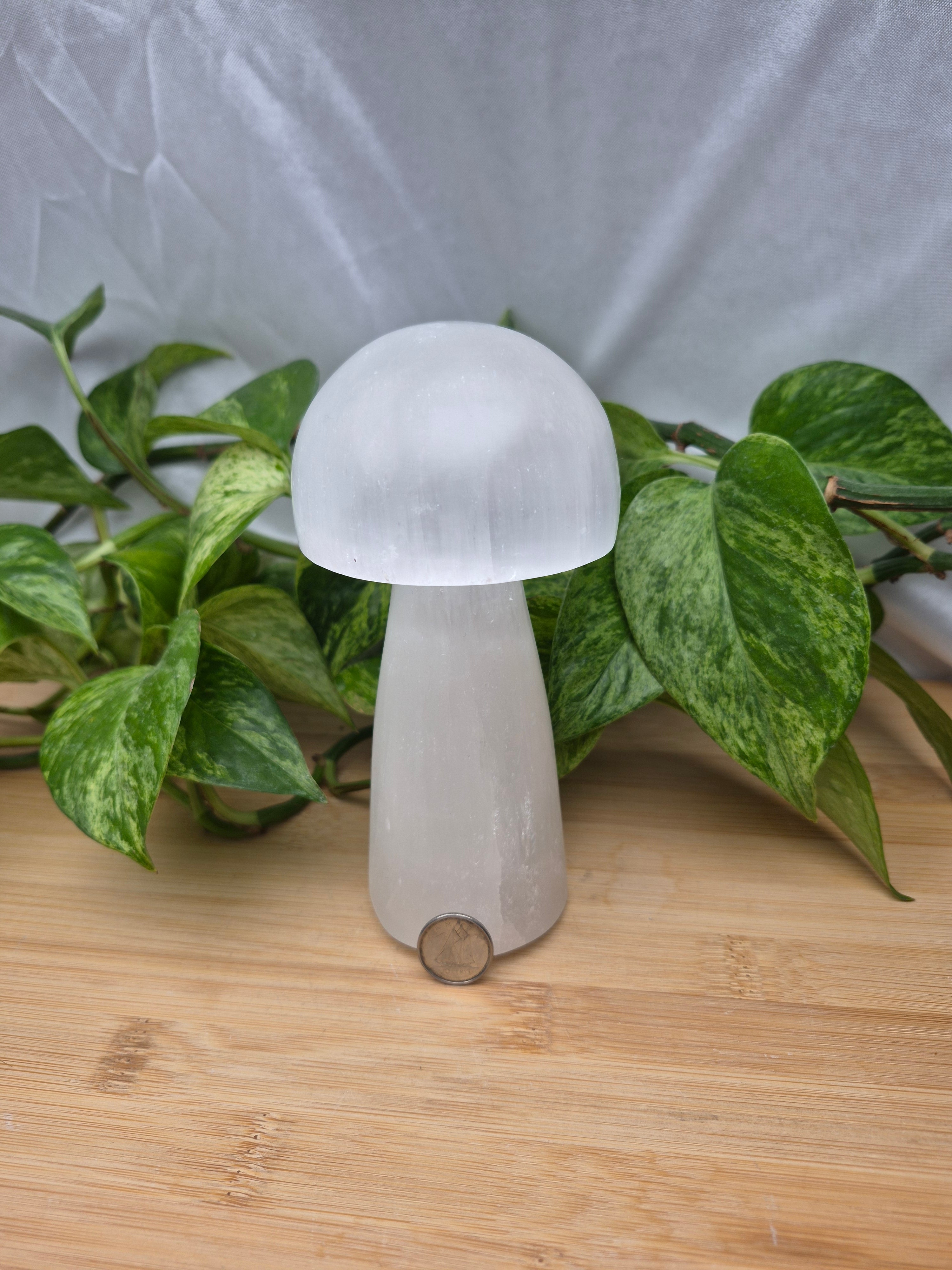 SELENITE MUSHROOM XL