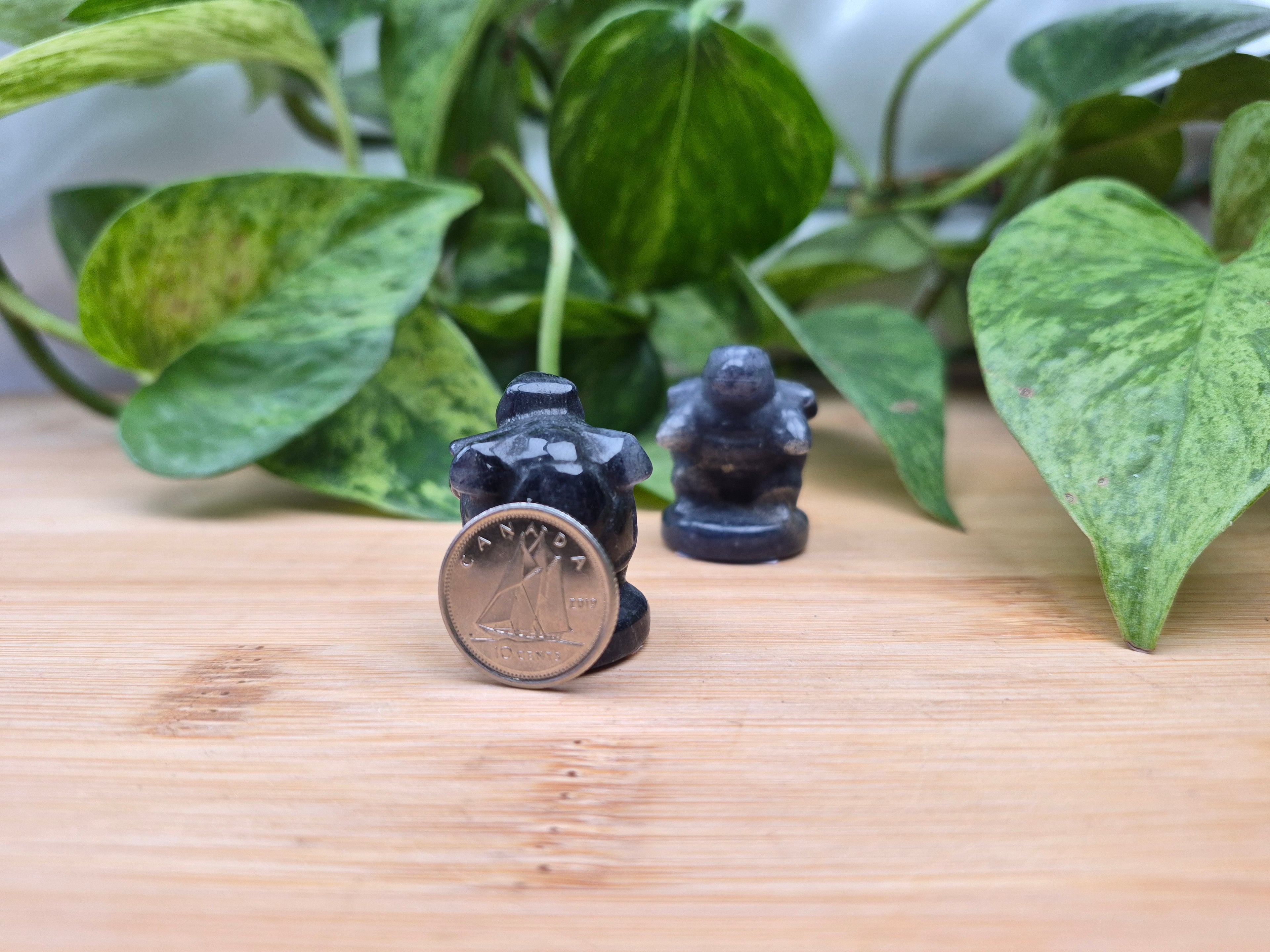 BLUE AVENTURINE BLASTOISE