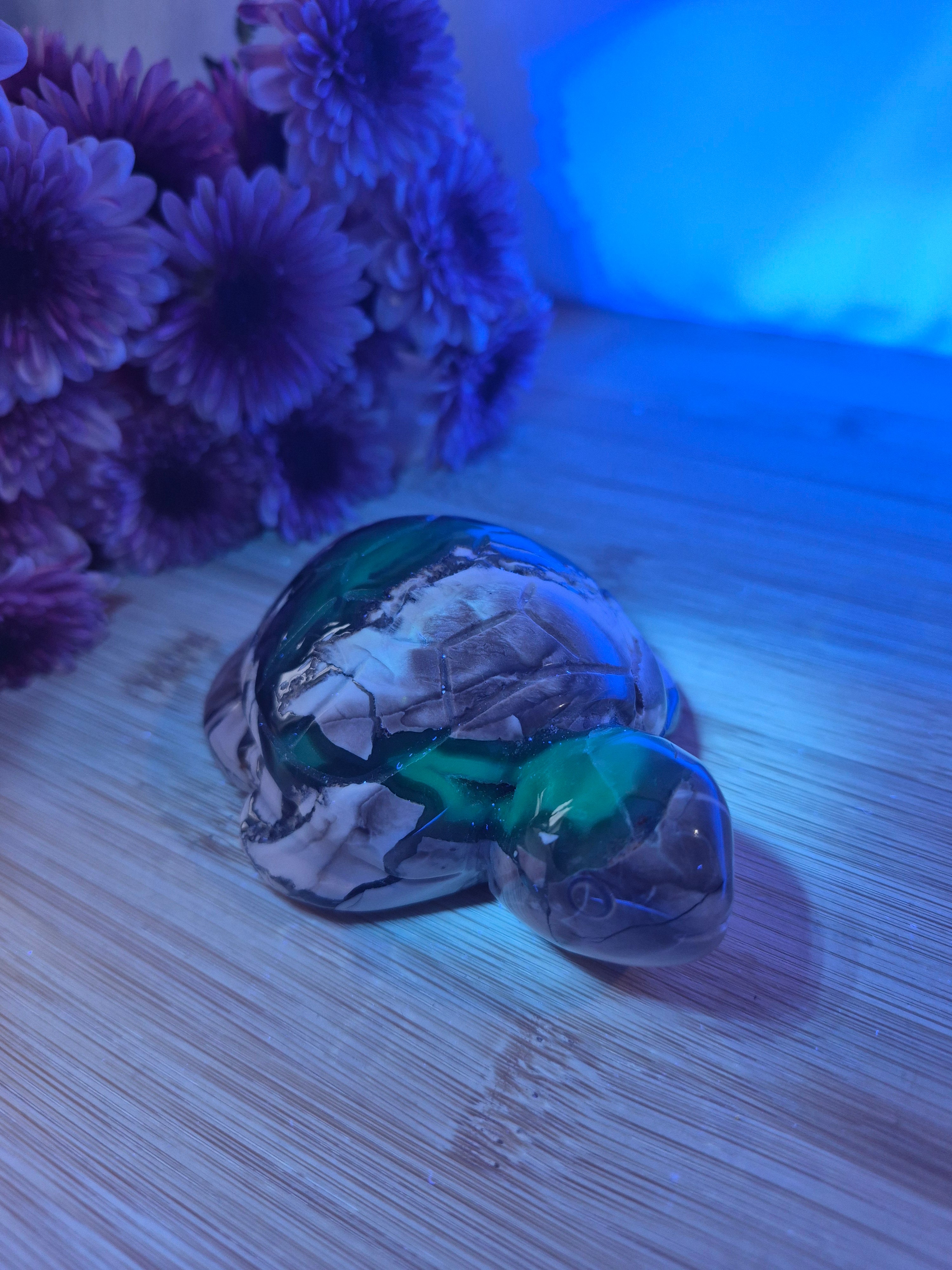 VOLCANO AGATE TURTLE