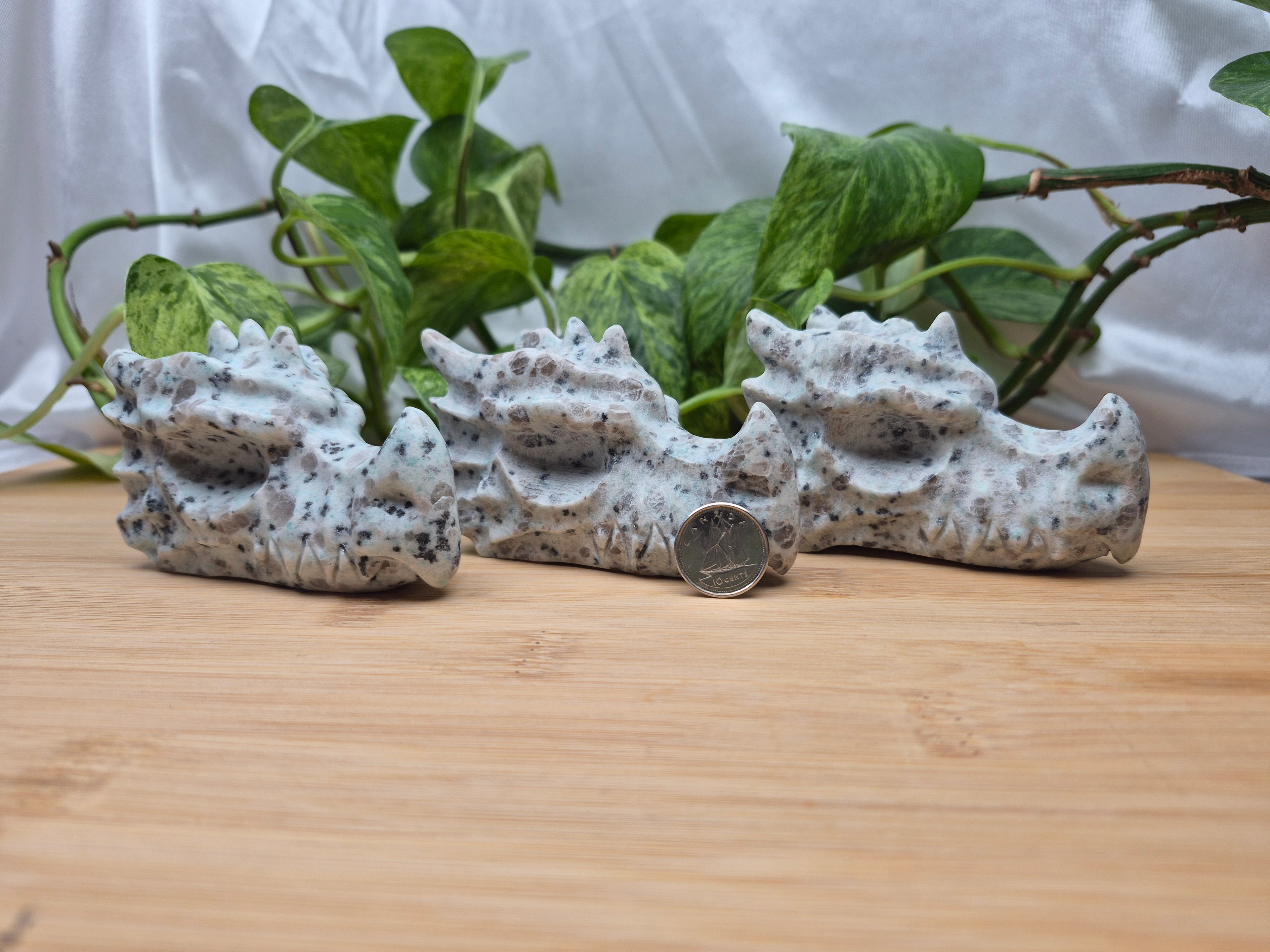 KIWI JASPER DRAGON HEAD