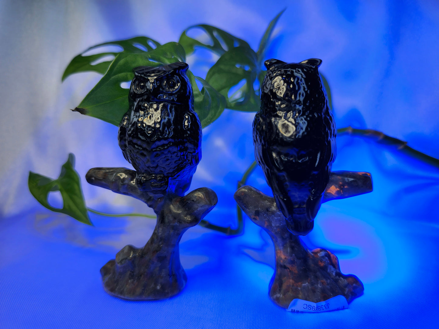 YOOPERLITE AND OBSIDIAN OWL