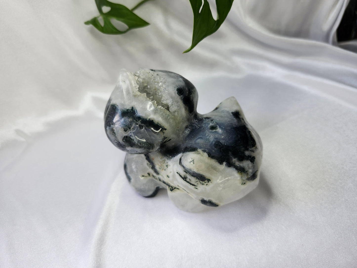 MOSS AGATE XL BULBASAUR (A)