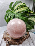 ROSE QUARTZ XL SPHERE 2.8kg
