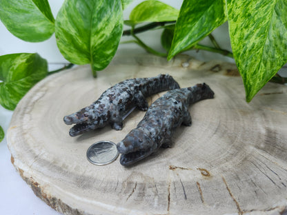 YOOPERLITE ALLIGATOR