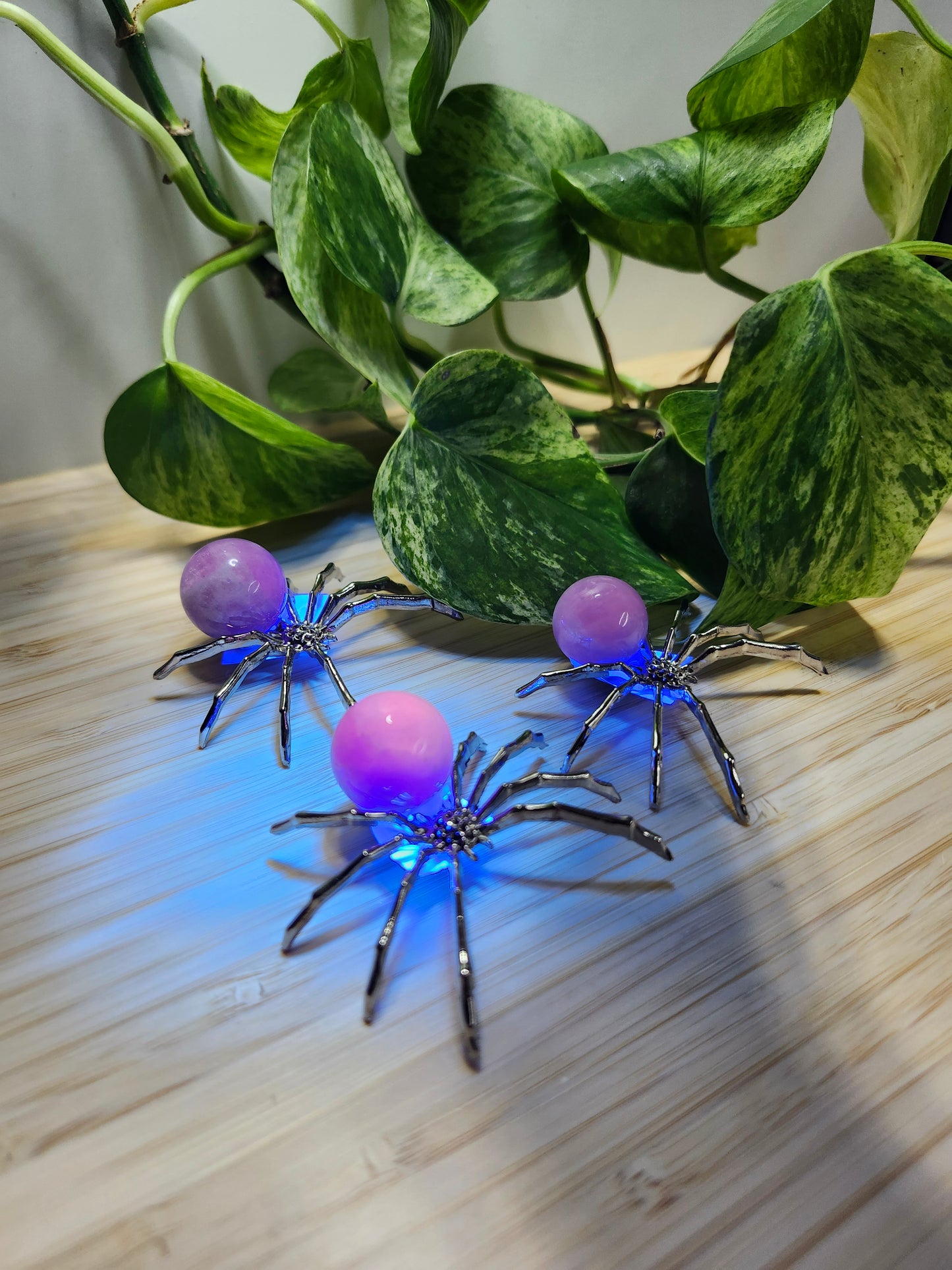 KUNZITE SPIDER