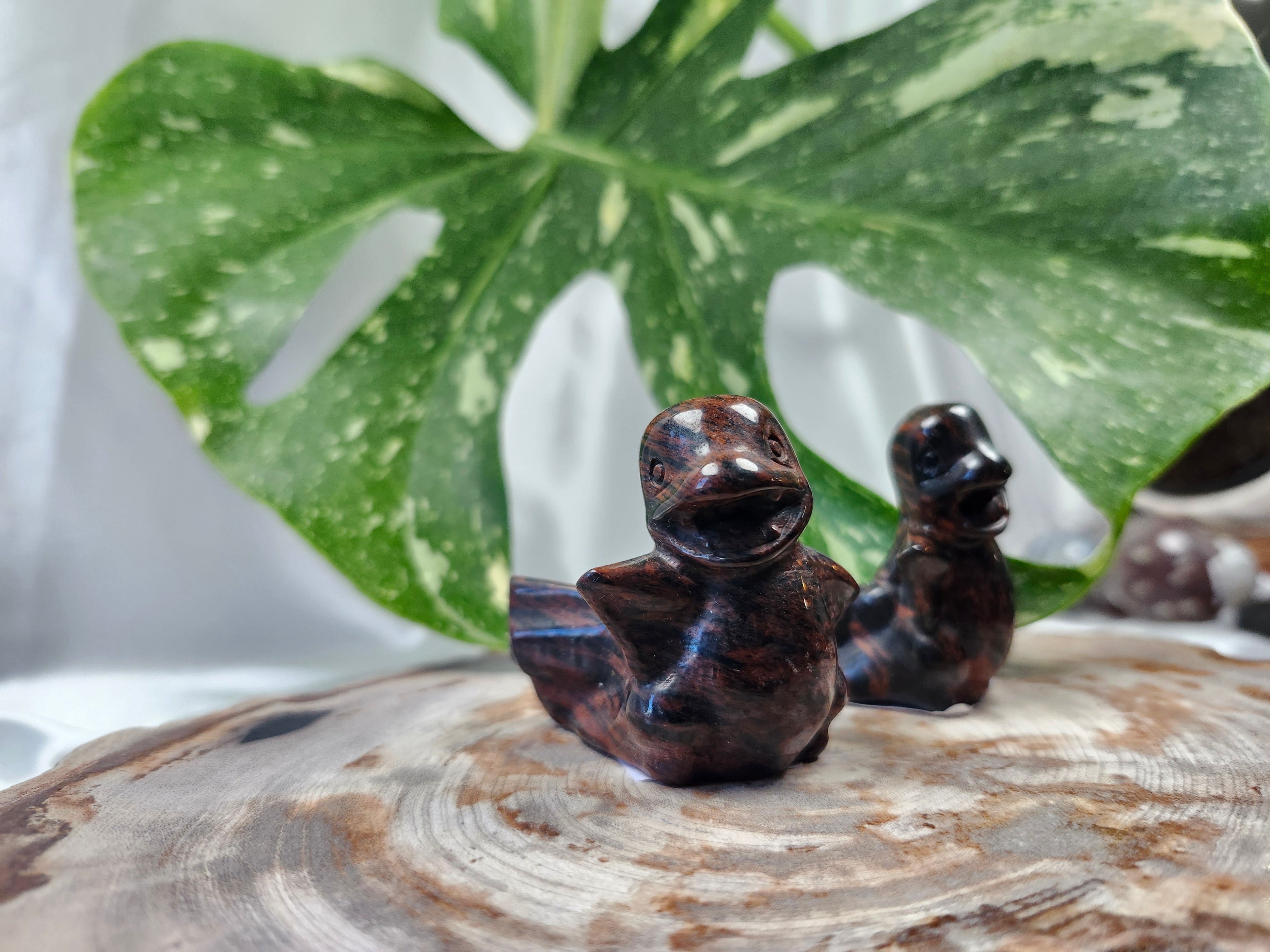 MAHOGANY OBSIDIAN CHARMANDER