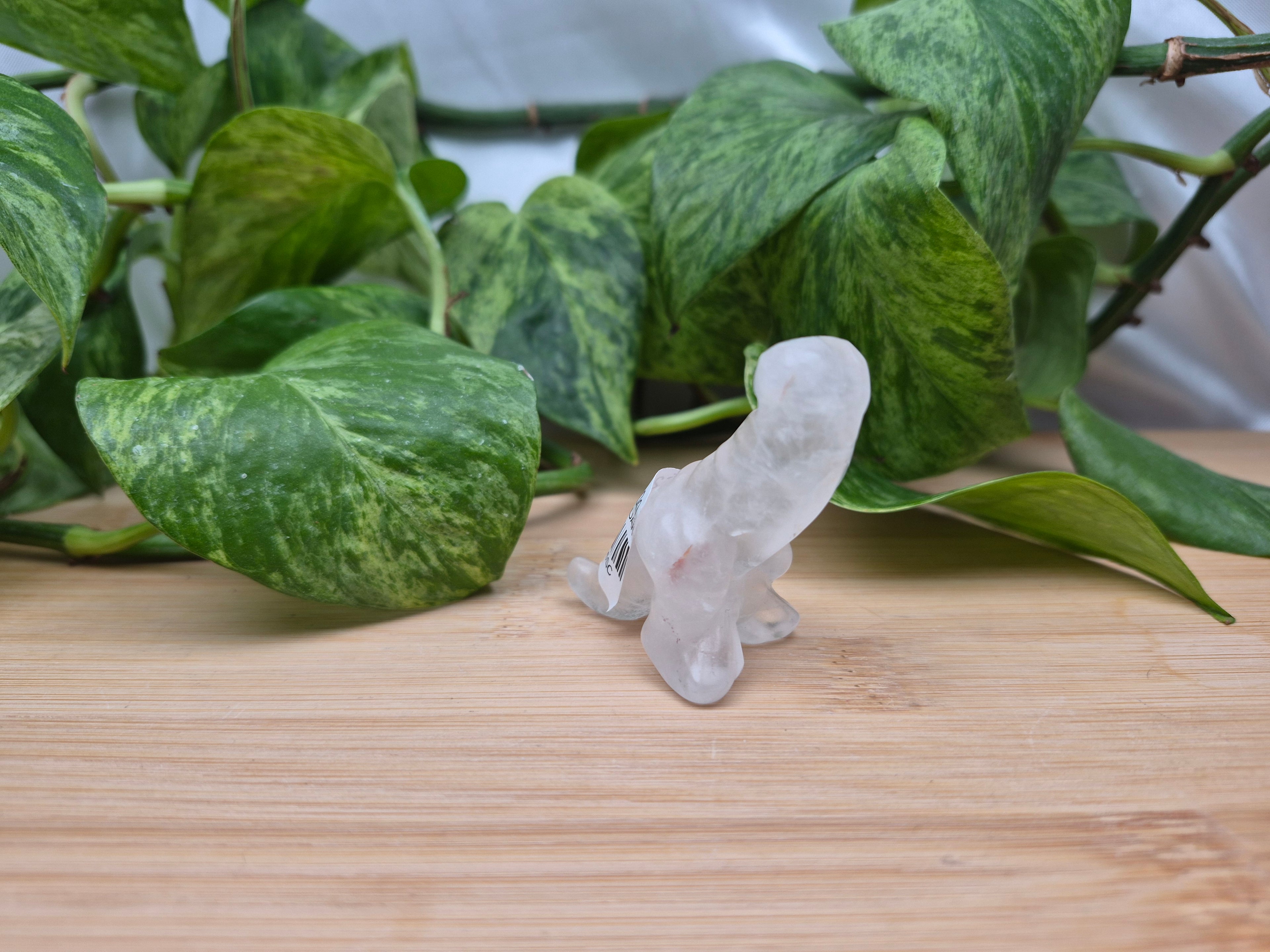 CLEAR QUARTZ DICK-A-SAUROUS