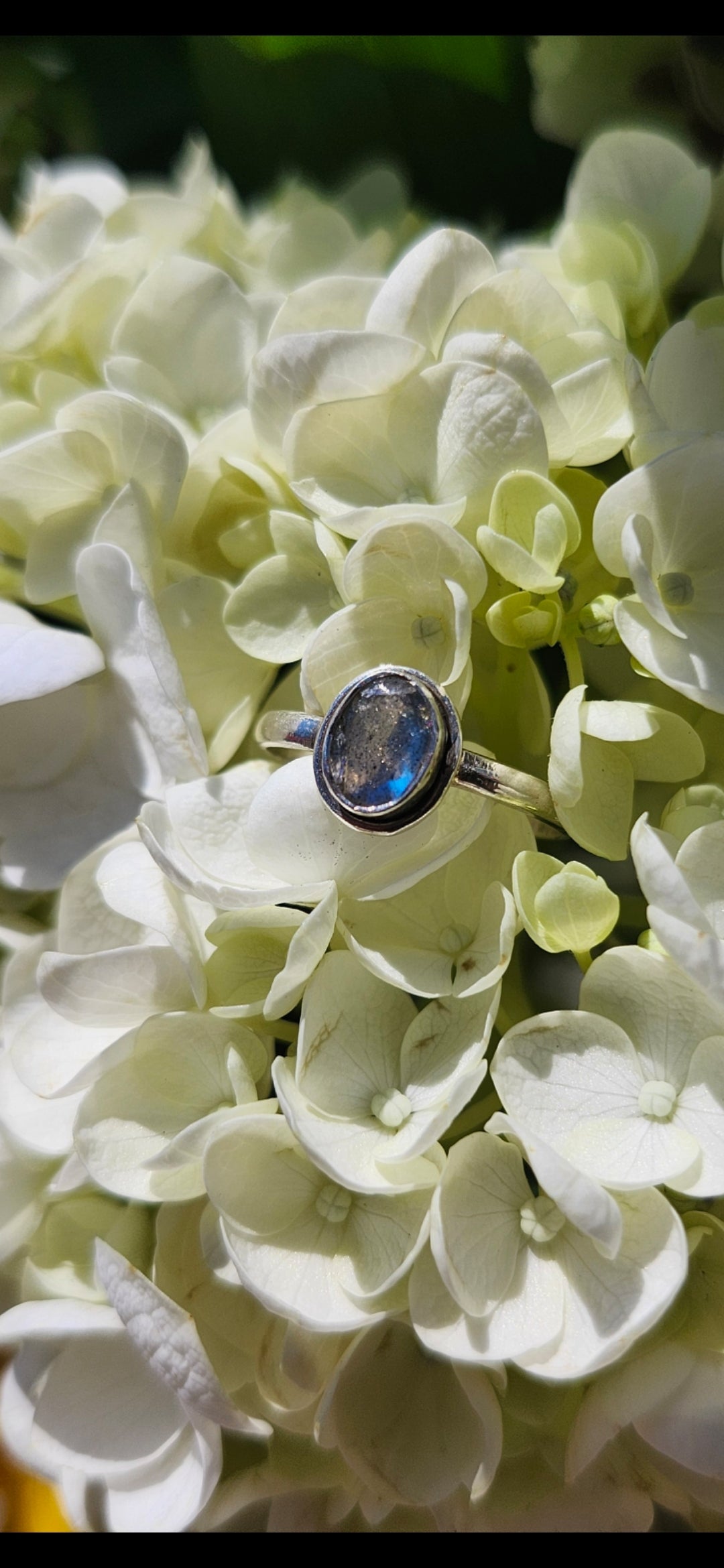 S8 LABRADORITE RING .925 STERLING SILVER
