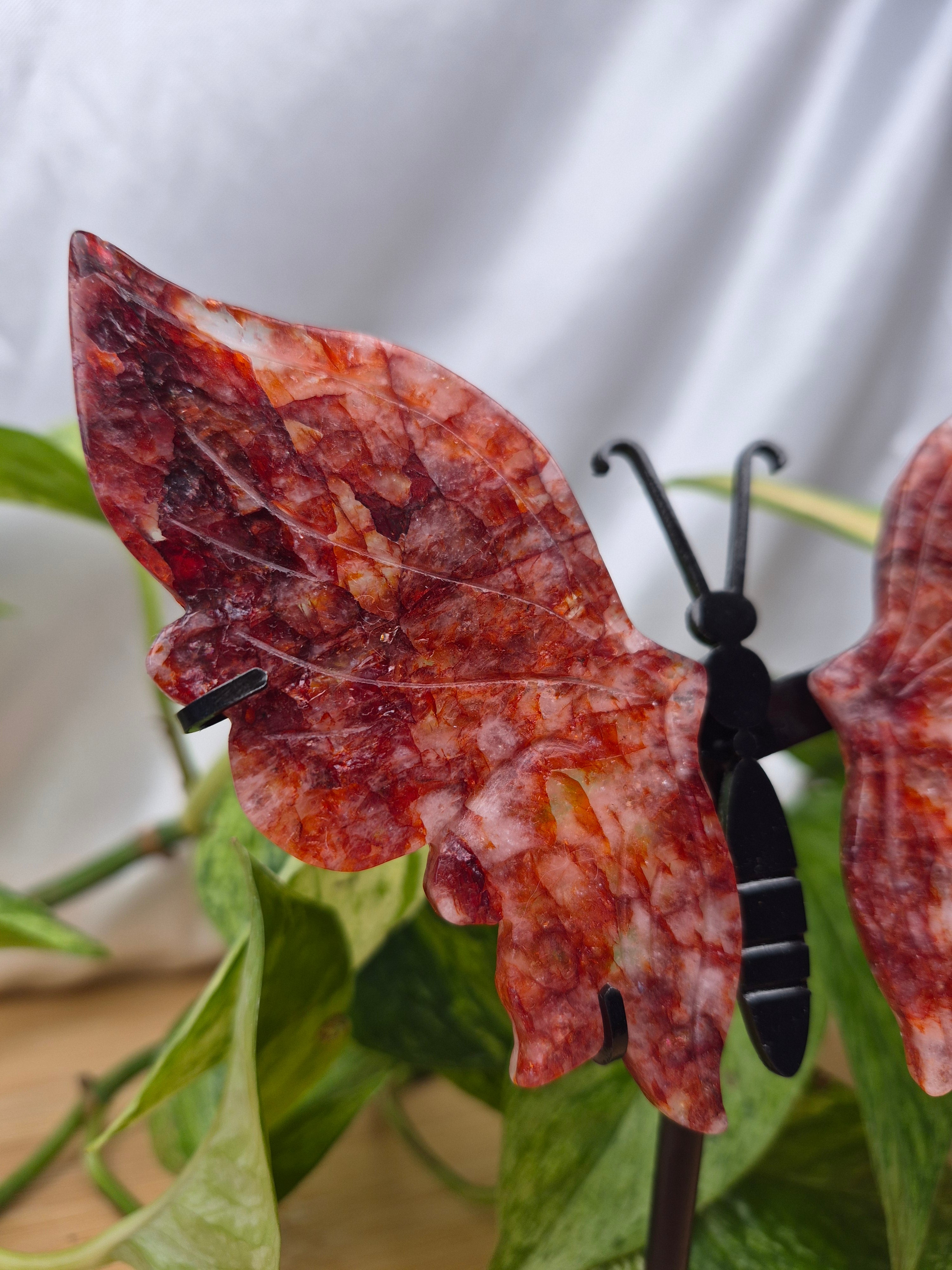 FIRE QUARTZ BUTTERFLY WINGS
