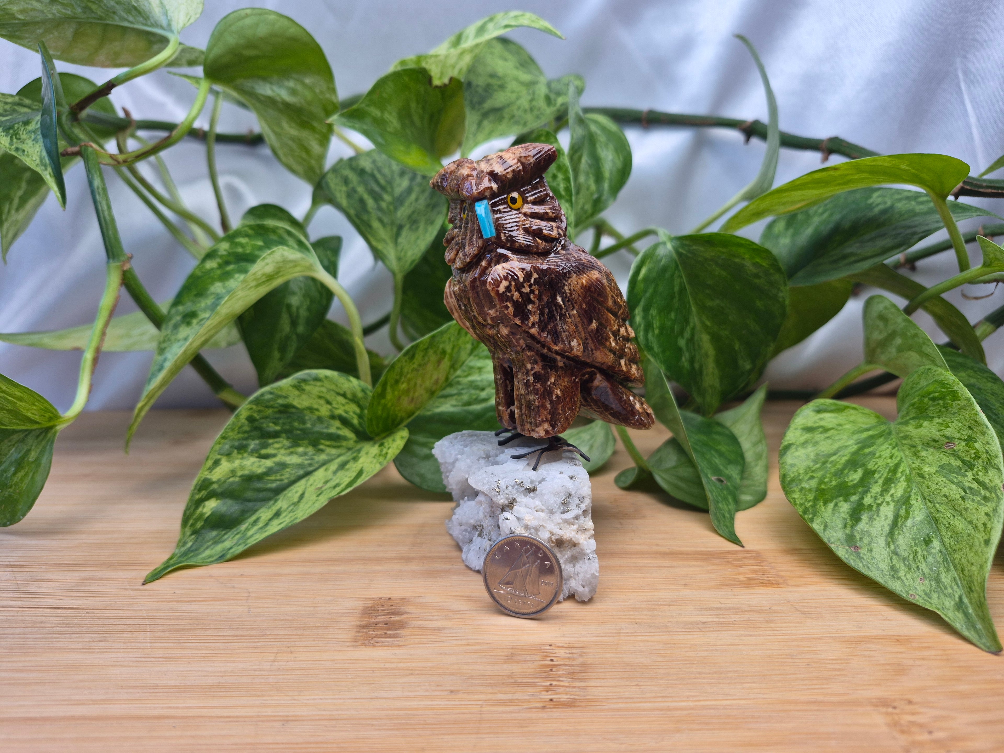 CHOCOLATE CALCITE OWL