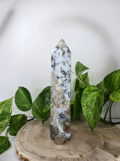 MOSS AGATE TOWER