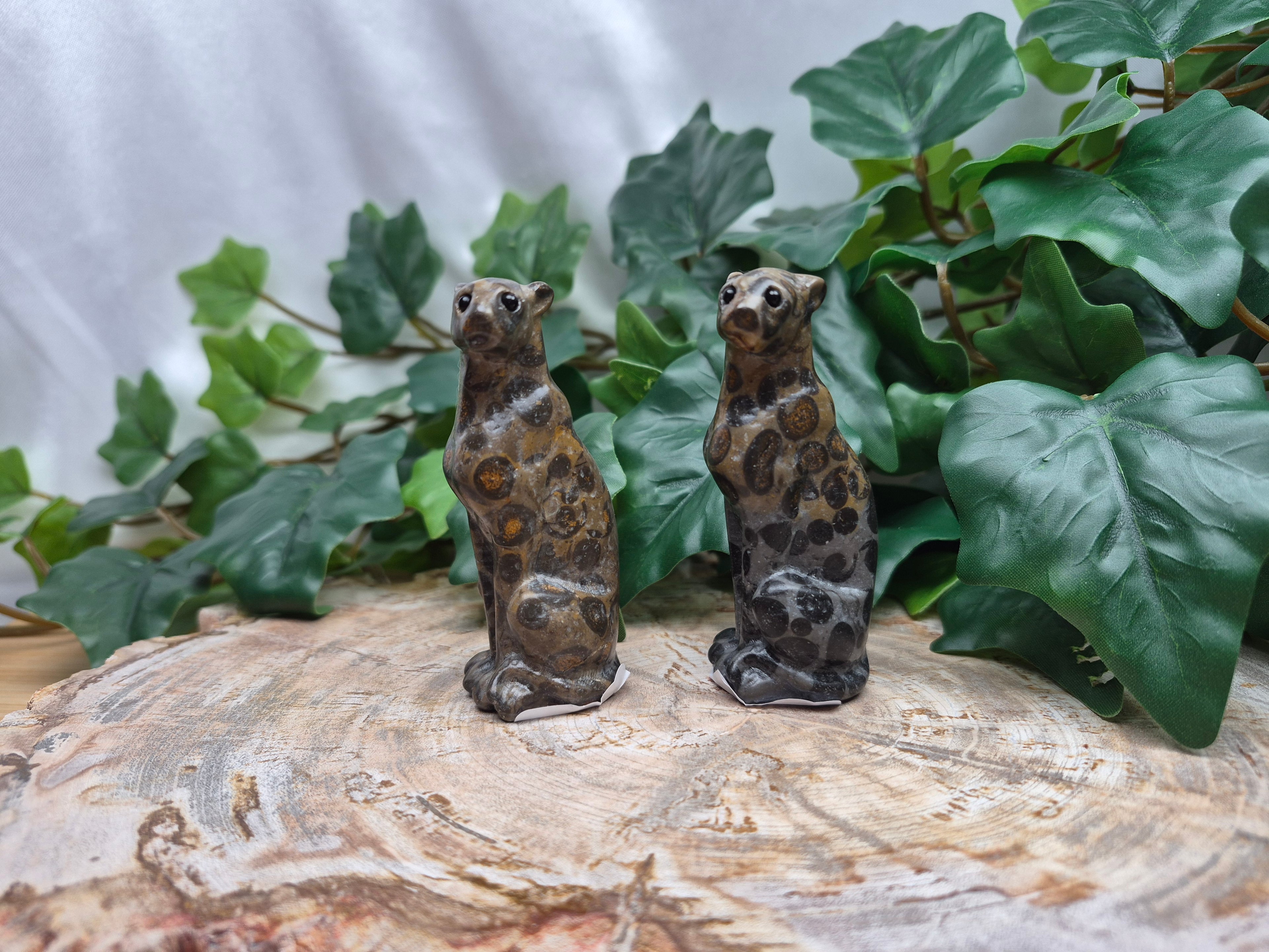 LEOPARDITE LEOPARD