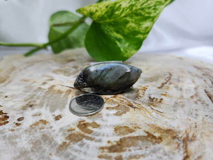 LABRADORITE LEAF