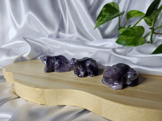 AMETHYST FROG