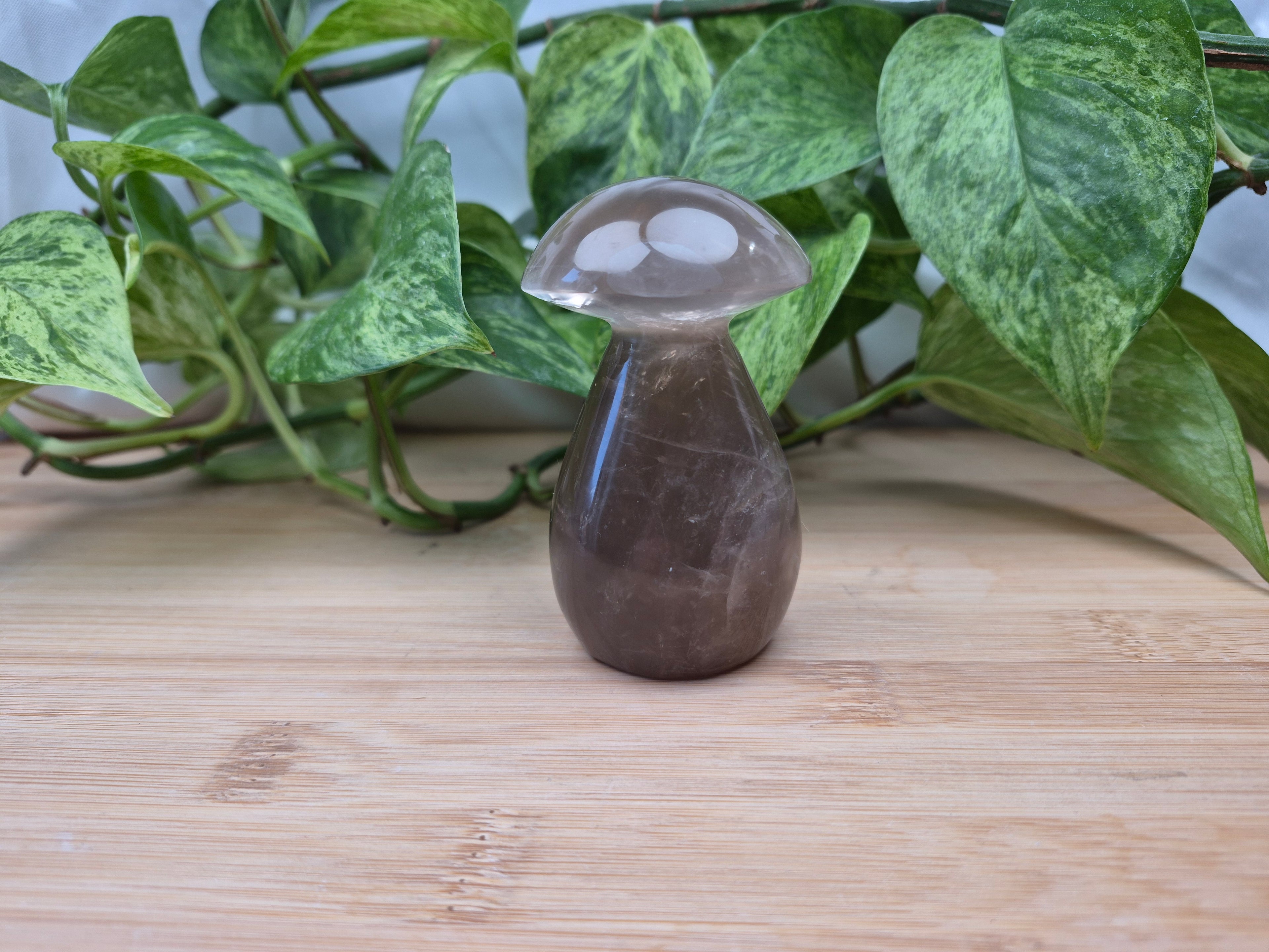 SMOKY MOONSTONE MUSHROOM