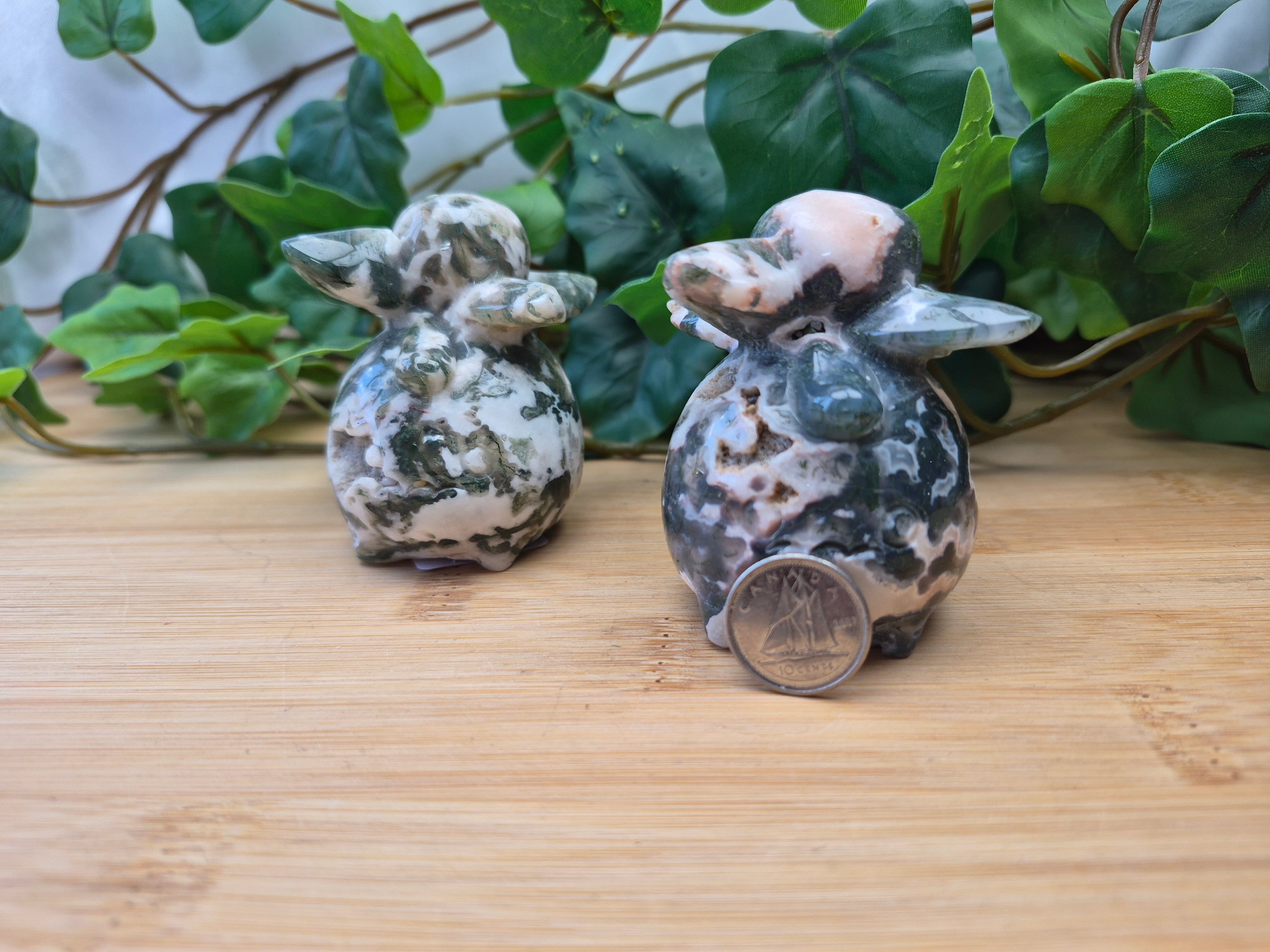 MOSS AGATE SMOLIV MD
