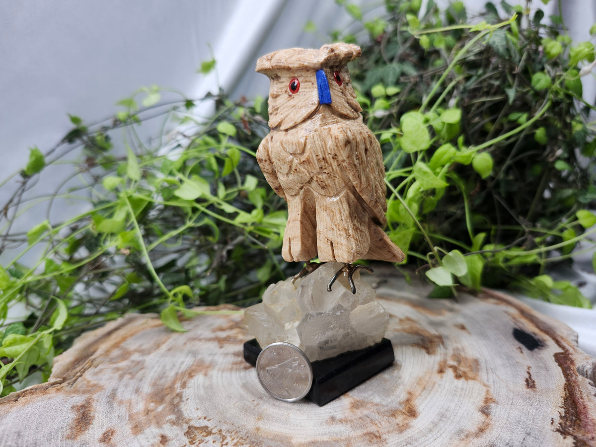 CHOCOLATE CALCITE OWL