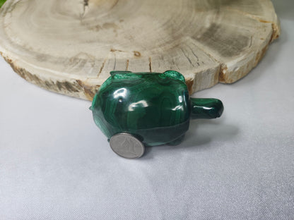 MALACHITE TURTLE