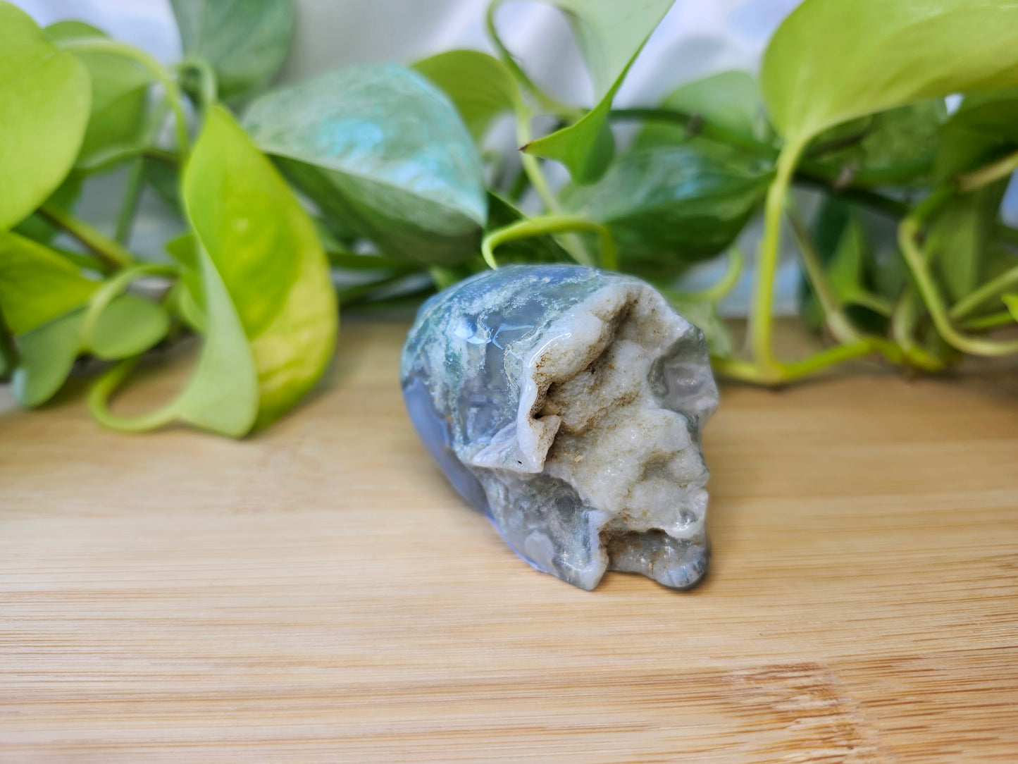 MOSS AGATE SKULL