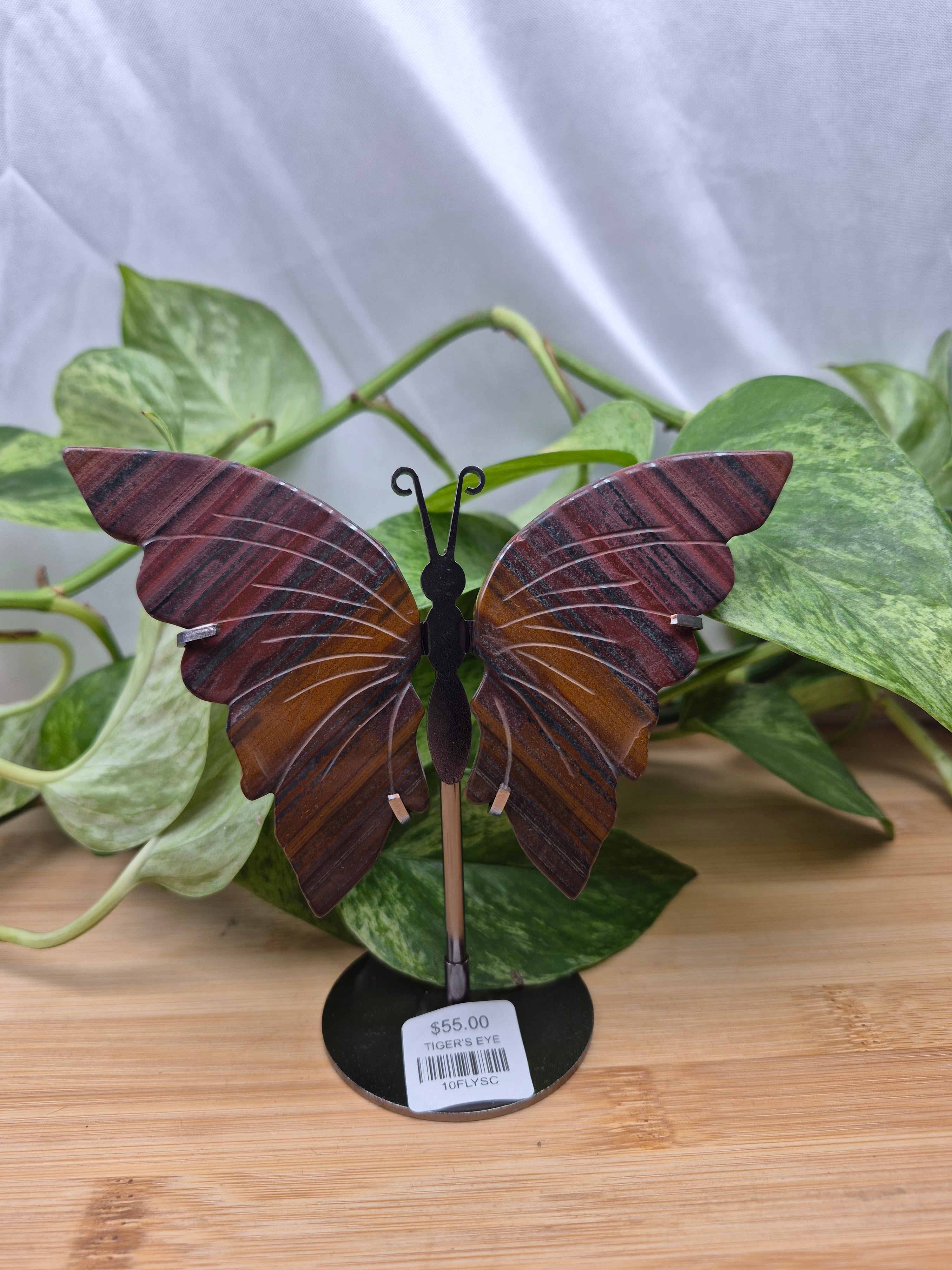 TIGERS EYE BUTTERFLY WINGS