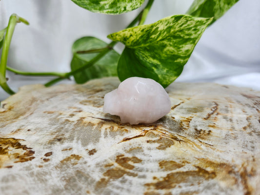 ROSE QUARTZ ANATOMICALLY CORRECT HEART