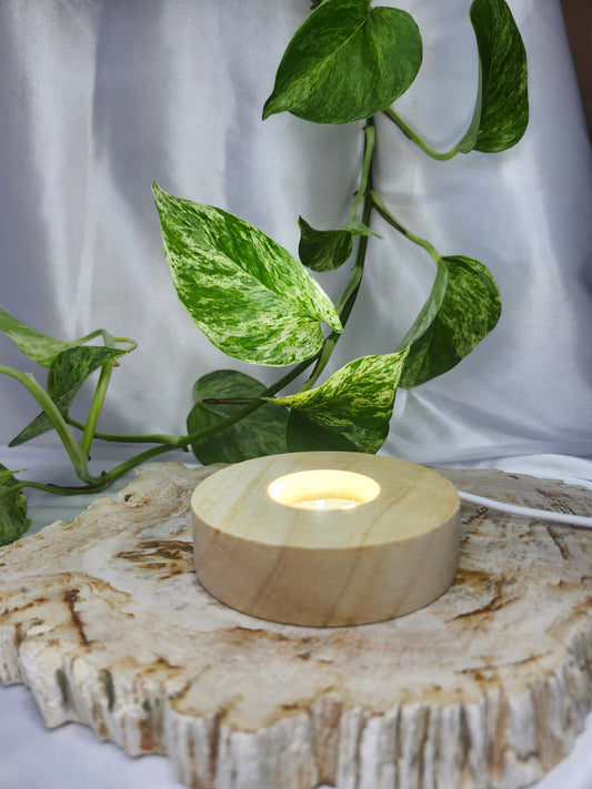 LIGHT BASE MED CIRCLE - WHITE