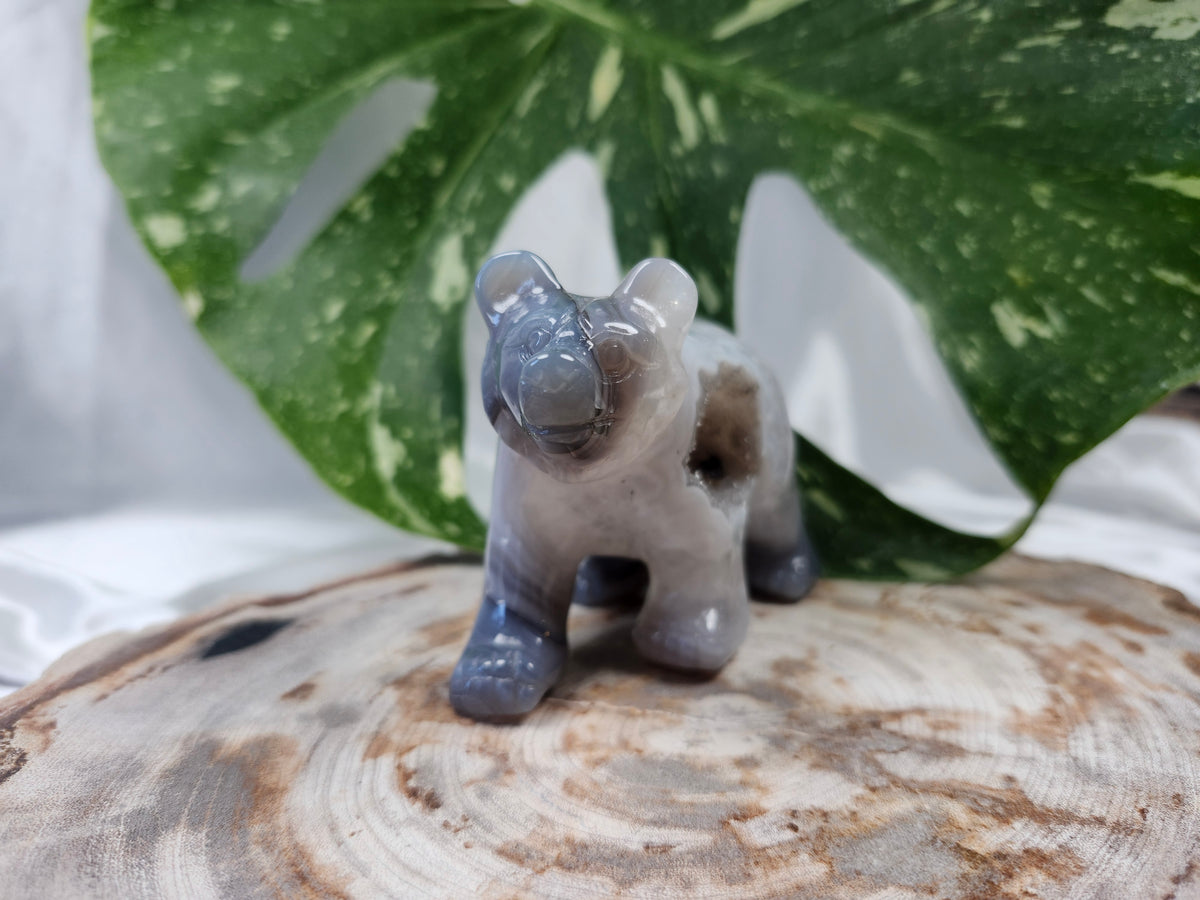 DRUZY AGATE BEAR