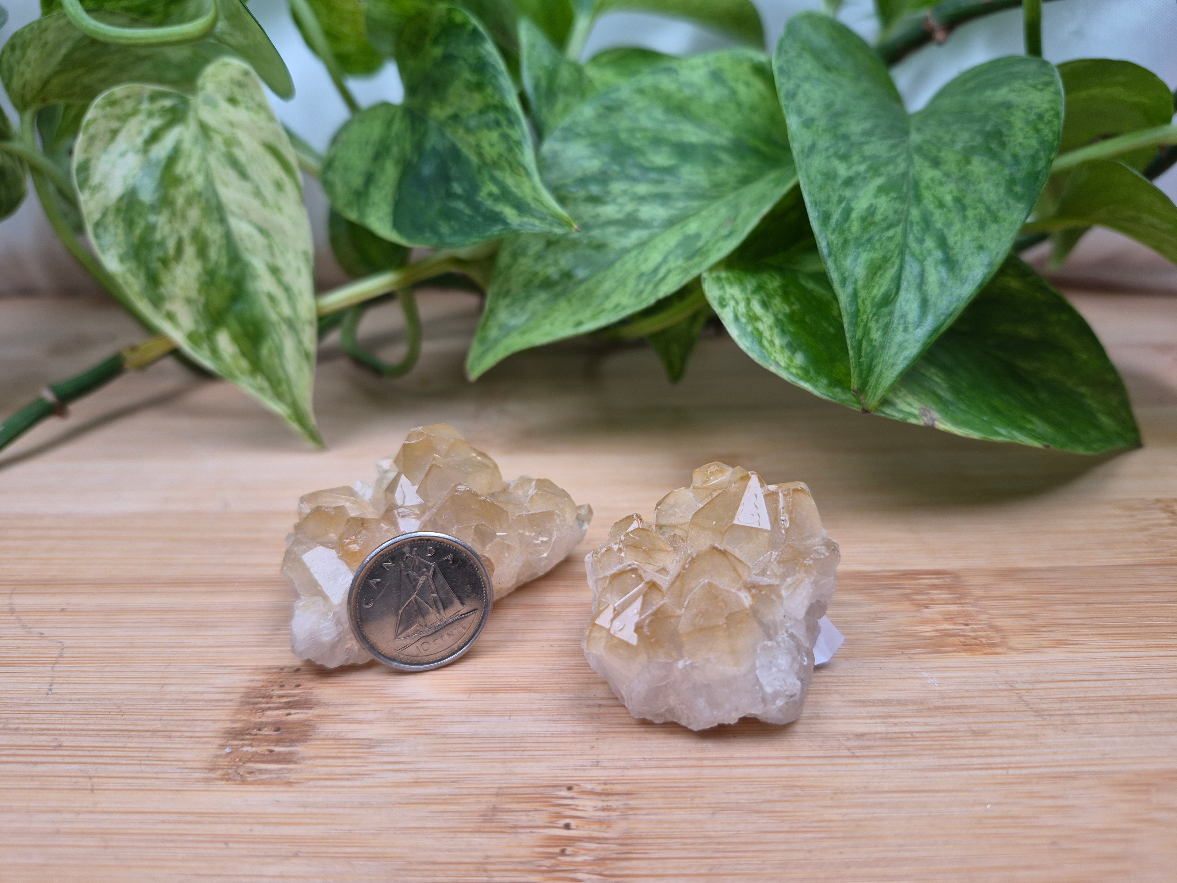 GOLDEN HEALER POINT ROUGH CHUNK