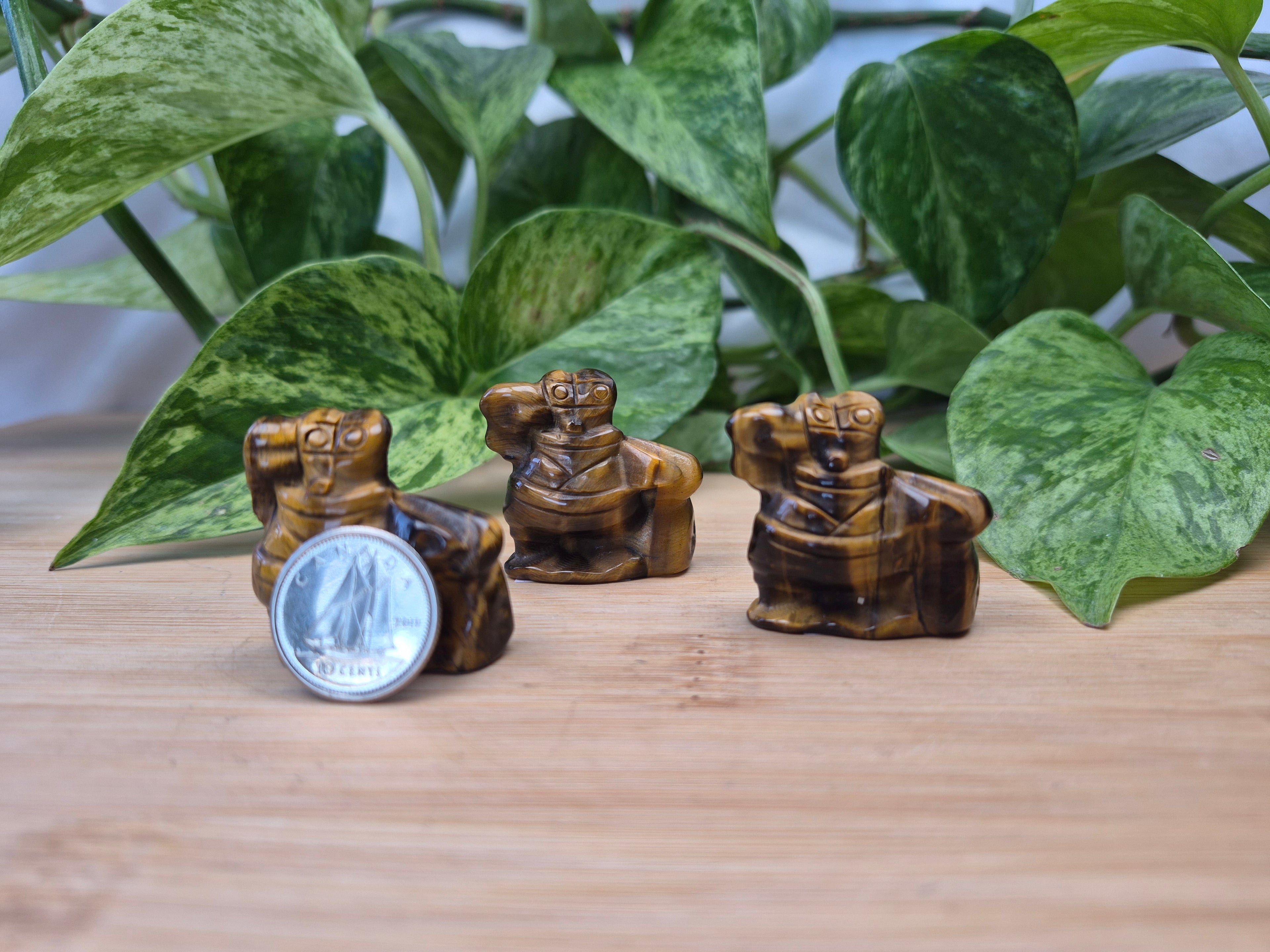 TIGERS EYE MR CRABS