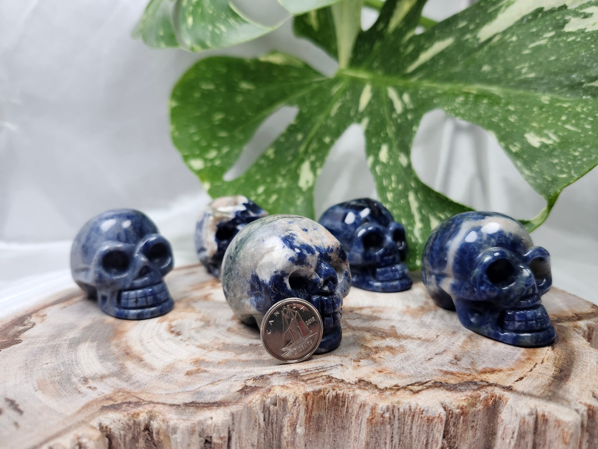 SODALITE SKULL