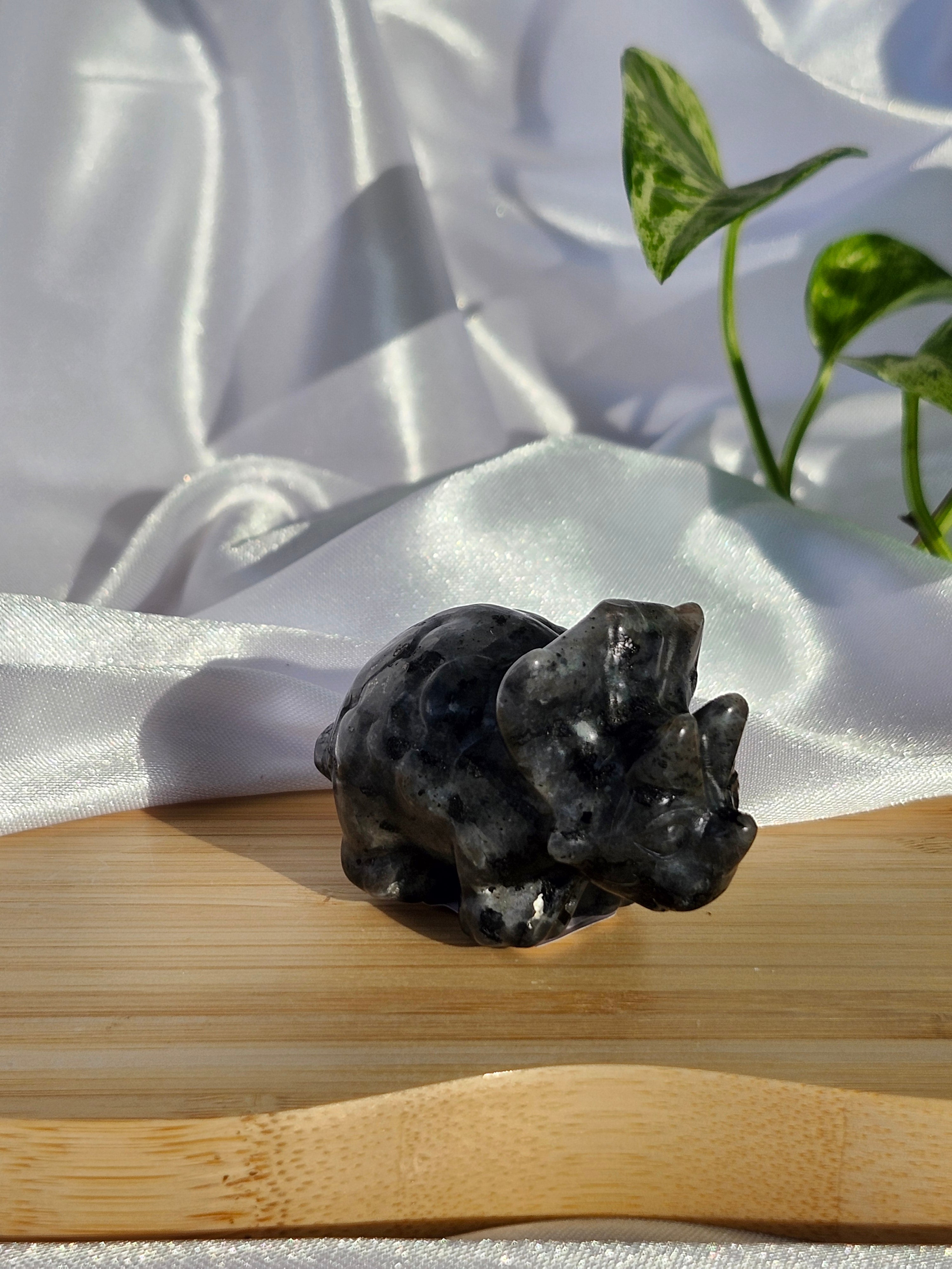 LARVAKITE TRICERATOPS