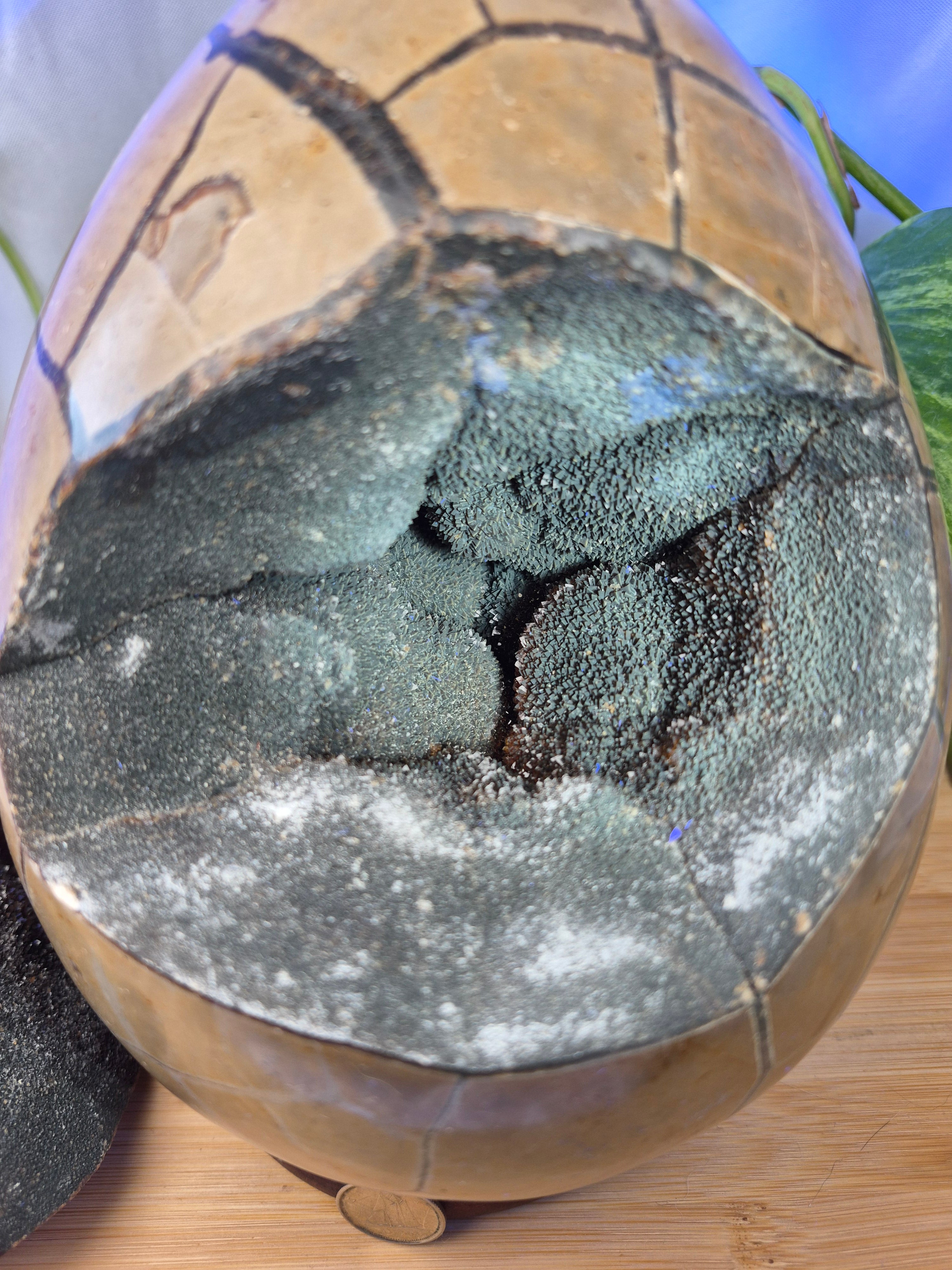 SEPTARIAN DRAGON EGG