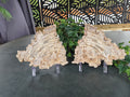 PETRIFIED WOOD SLAB COMPANION SET #14