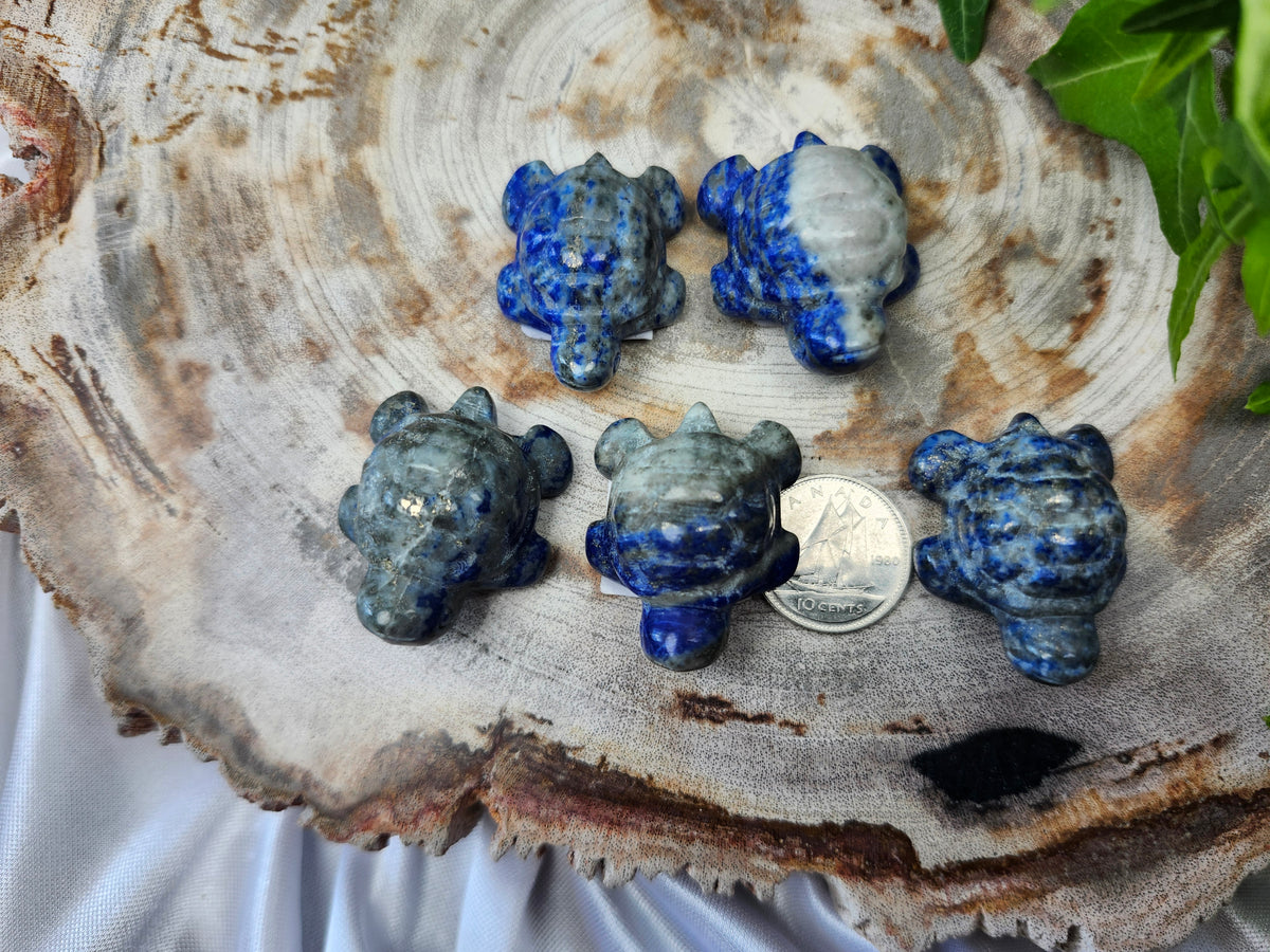 LAPIS LAZULI TURTLE