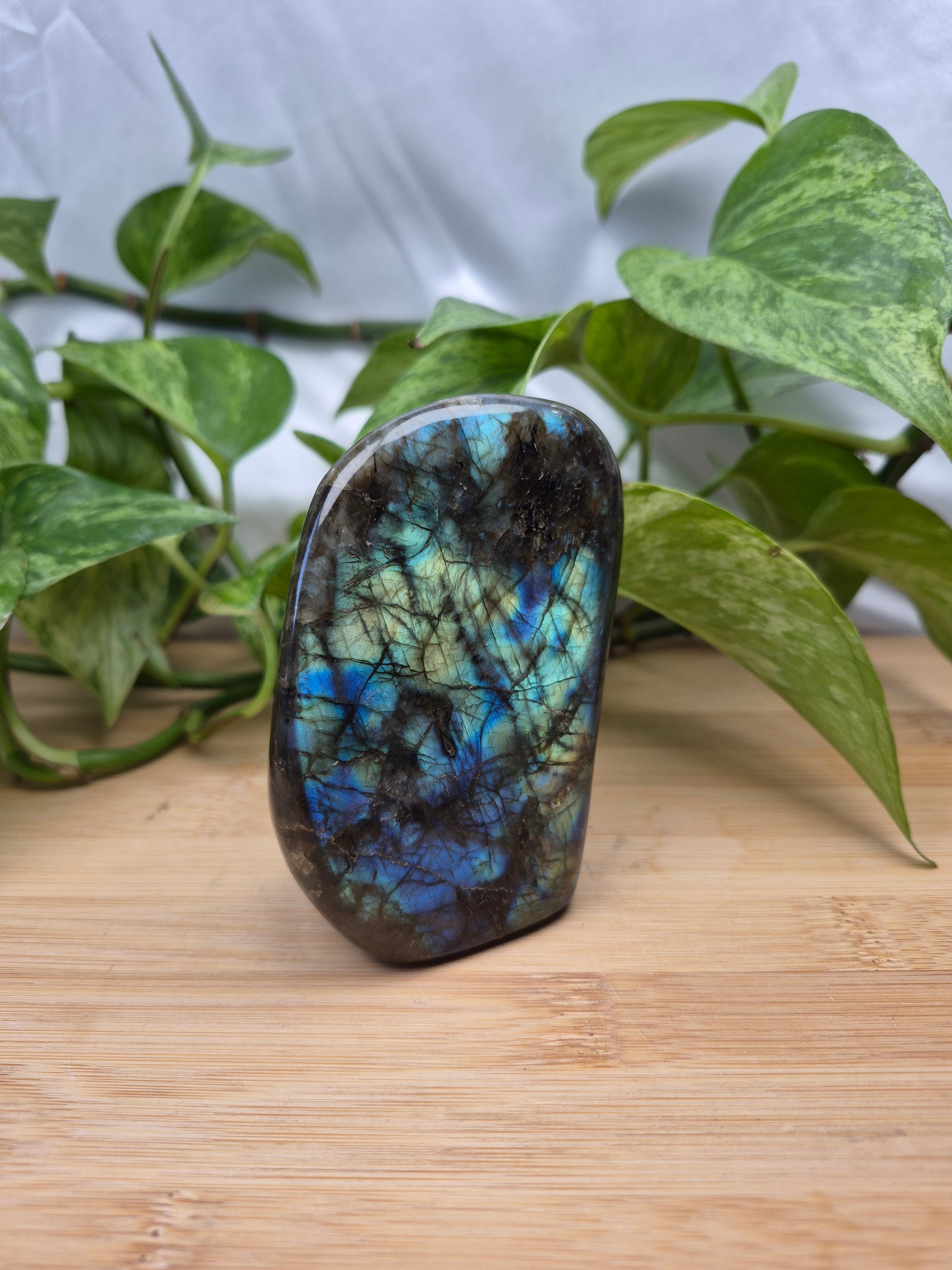 LABRADORITE FREEFORM
