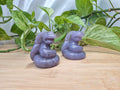 LEPIDOLITE EKANS LG