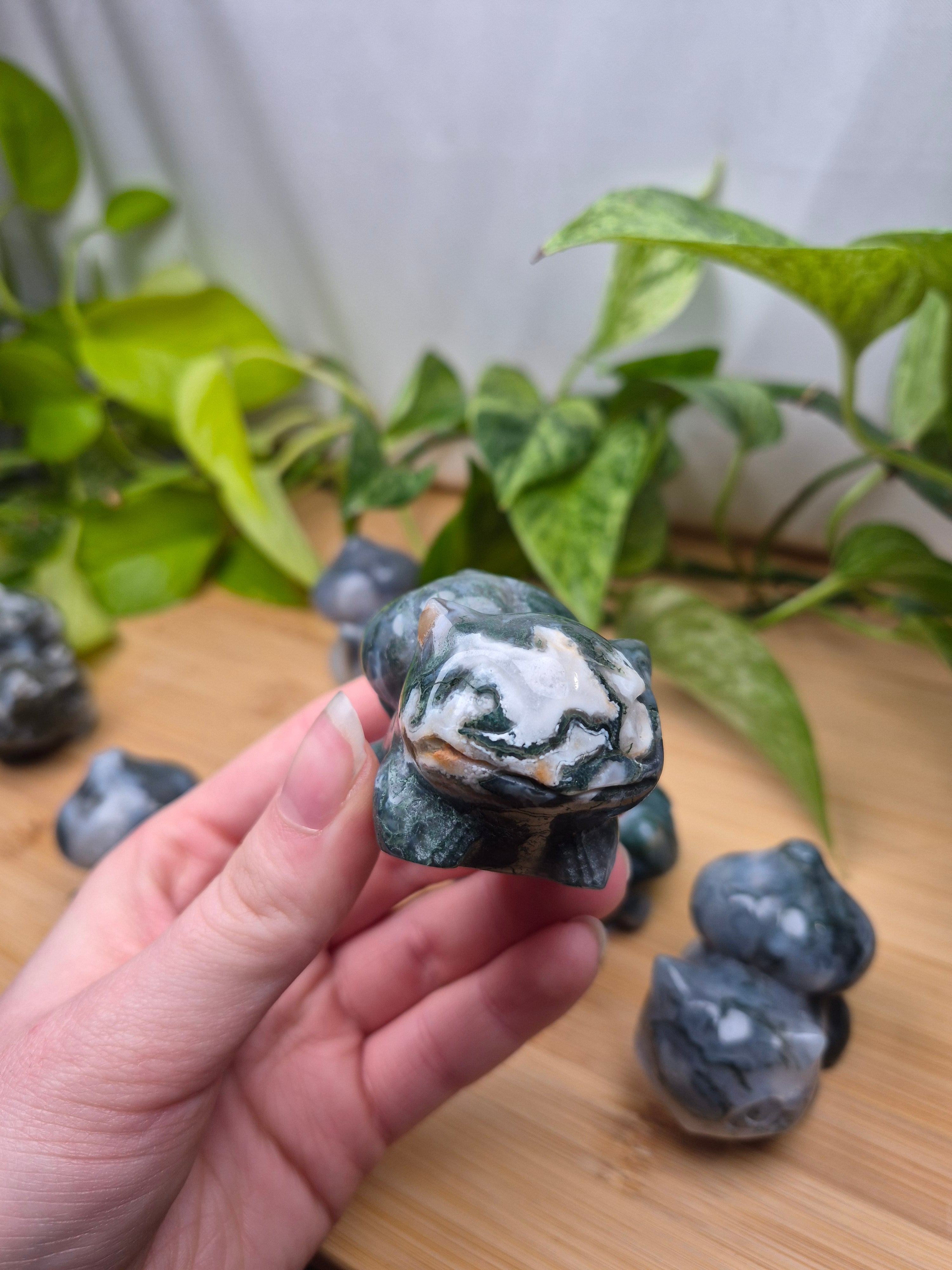 MOSS AGATE BULBASAUR LG