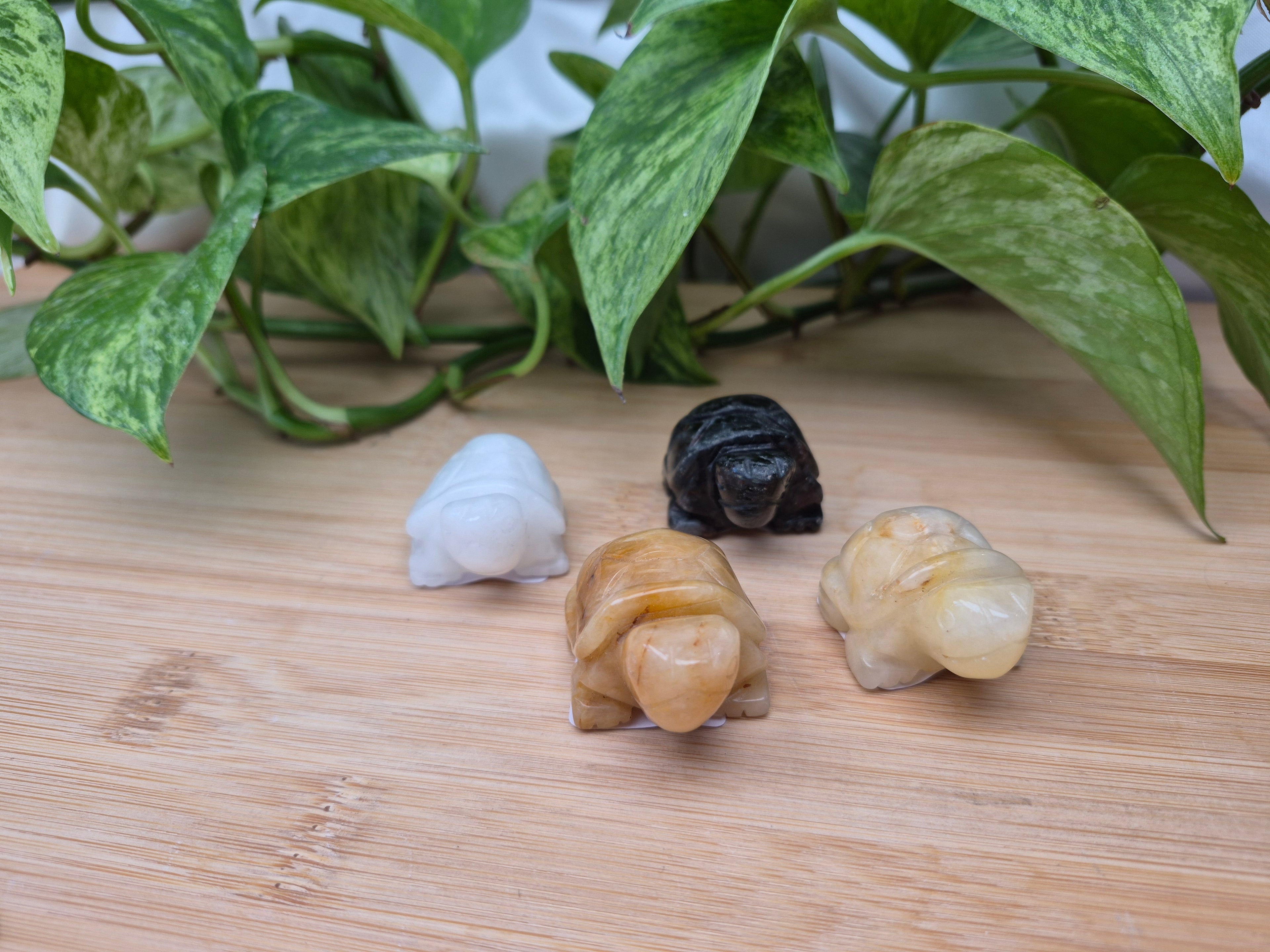 MIXED CRYSTAL TURTLE