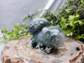 XL MOSS AGATE BULBASAUR