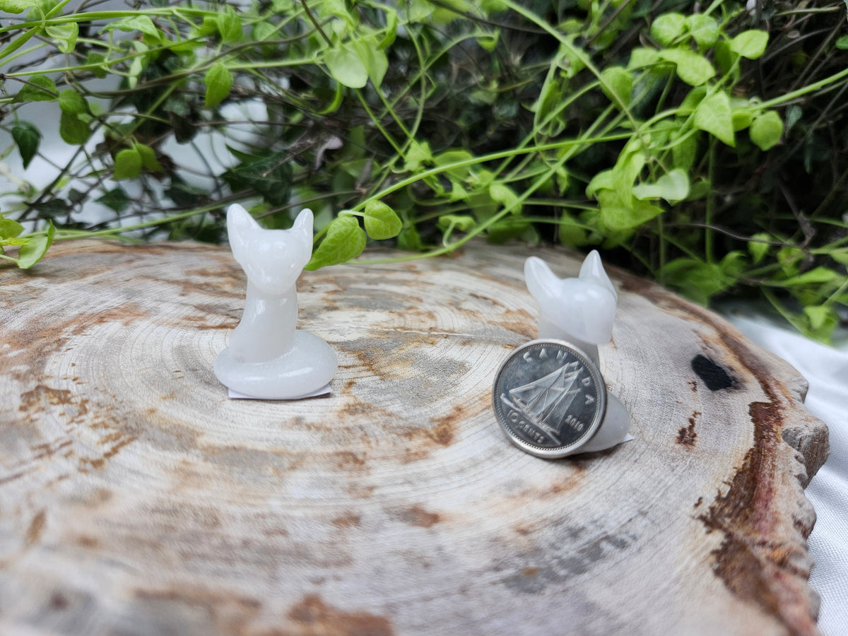 WHITE JADE DRATINI