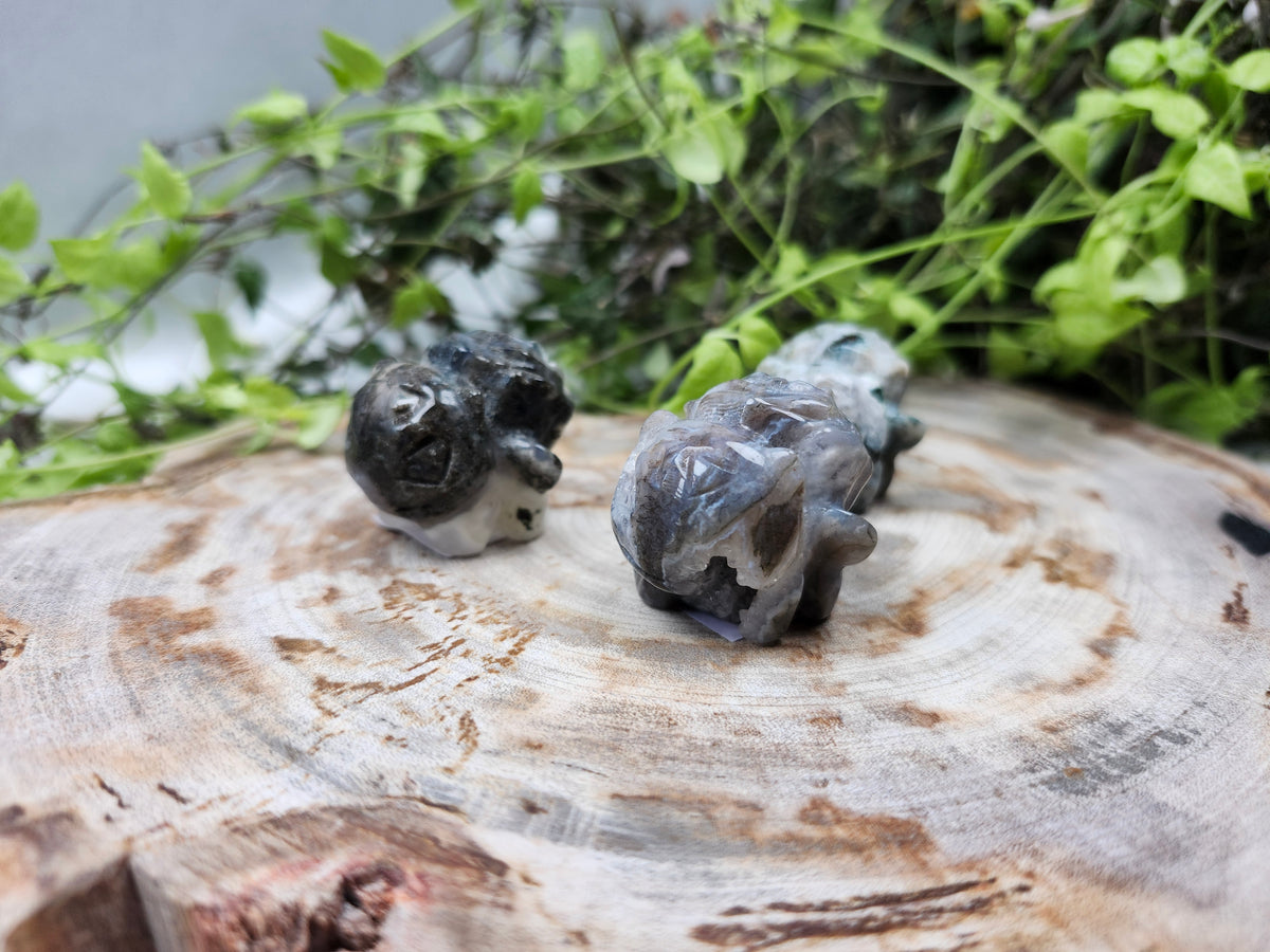 MOSS AGATE IVYSAUR